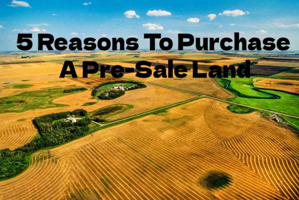 5 Reasons To Purchase A Pre-Sale Land
