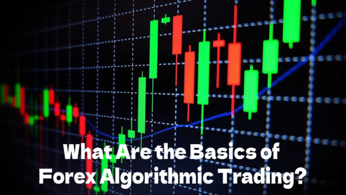 What Are the Basics of Forex Algorithmic Trading?