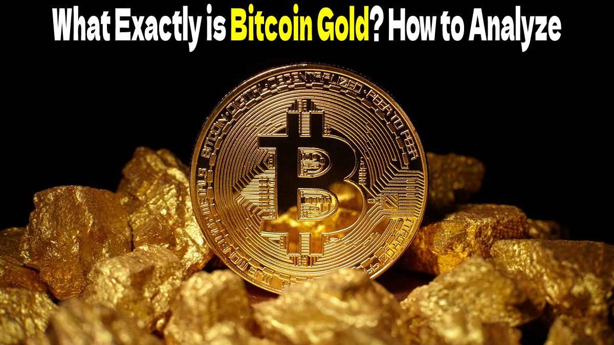 What Exactly is Bitcoin Gold? How to Analyze