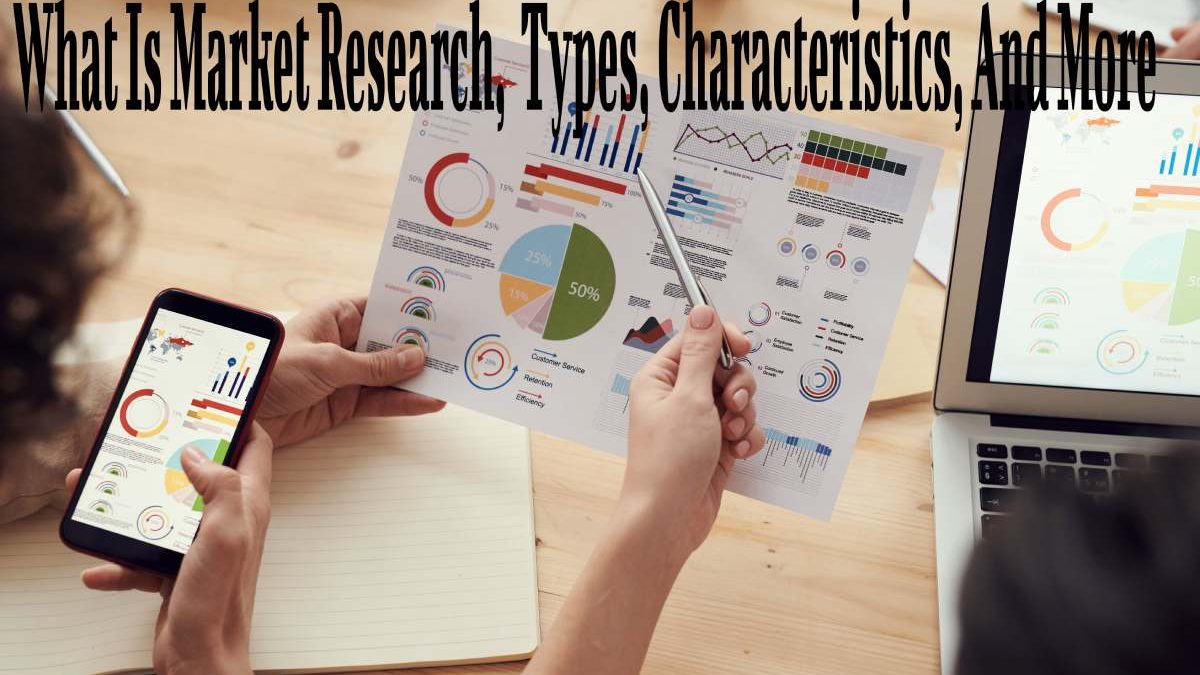 What Is Market Research, Types, Characteristics, And More