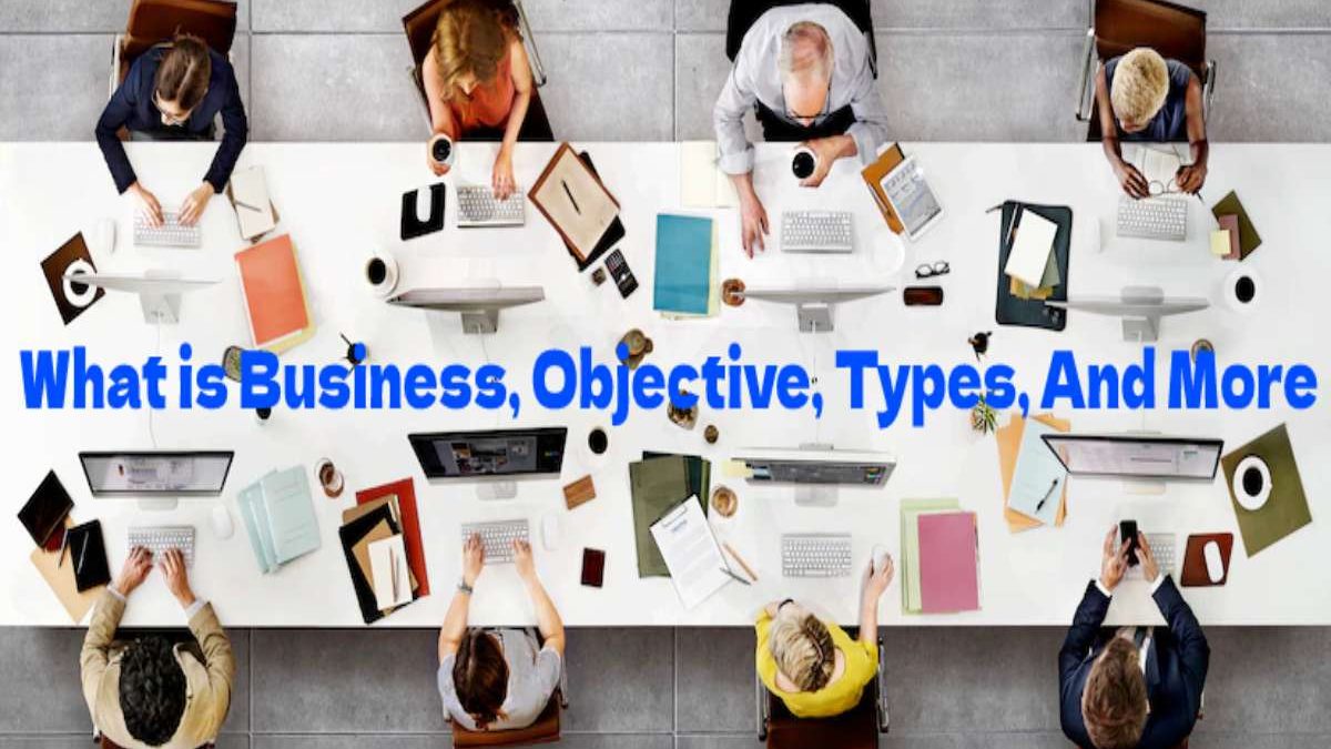 What is Business, Objective, Types, And More