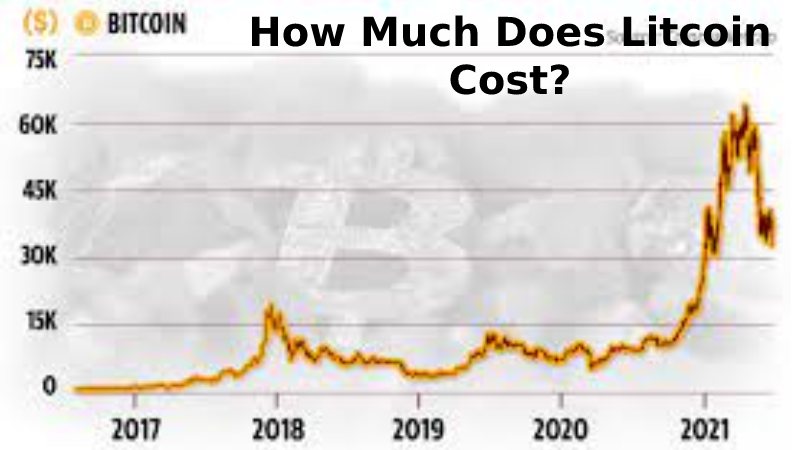 How Much Does Litcoin Cost?