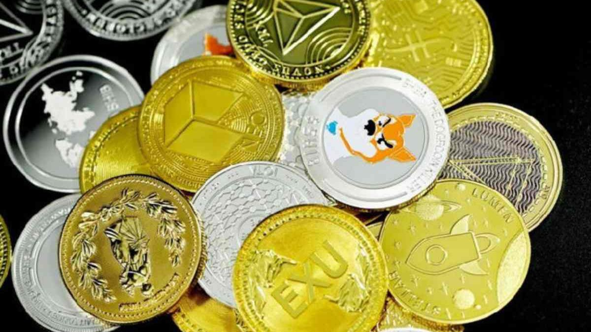 What is the SAINU Coin and Its Uses?