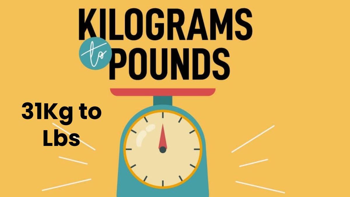 31Kg to Lbs – Convert 31 Kilogram to Pounds