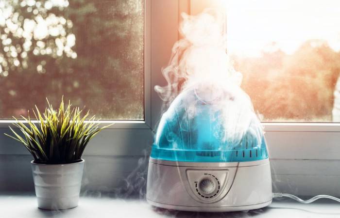 Do You Need a Humidifier