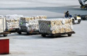 How to Maintain a Cold Chain